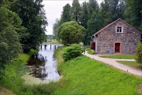 Петербург пушкинские горы
