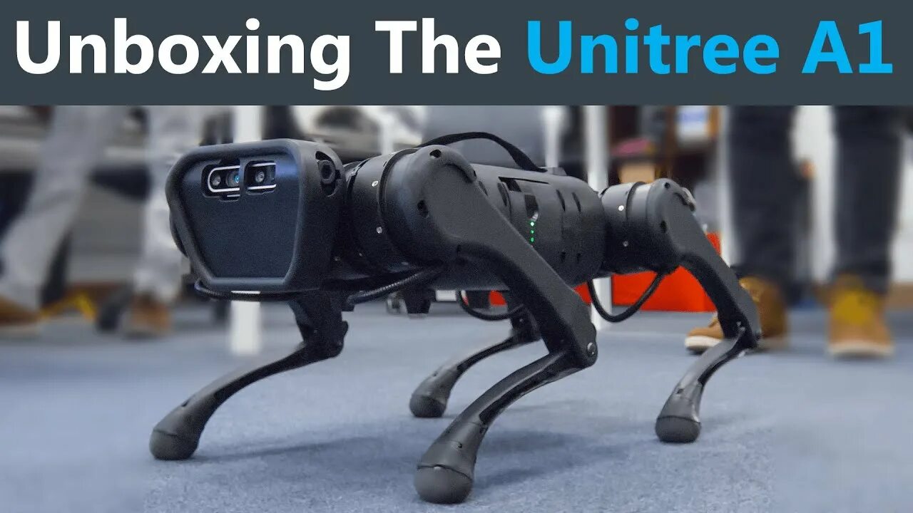Робот unitree go1 комплектации edu plus. Unitree robotics a1. робособака unitree. 01 робот дог 01 2025 05 01.