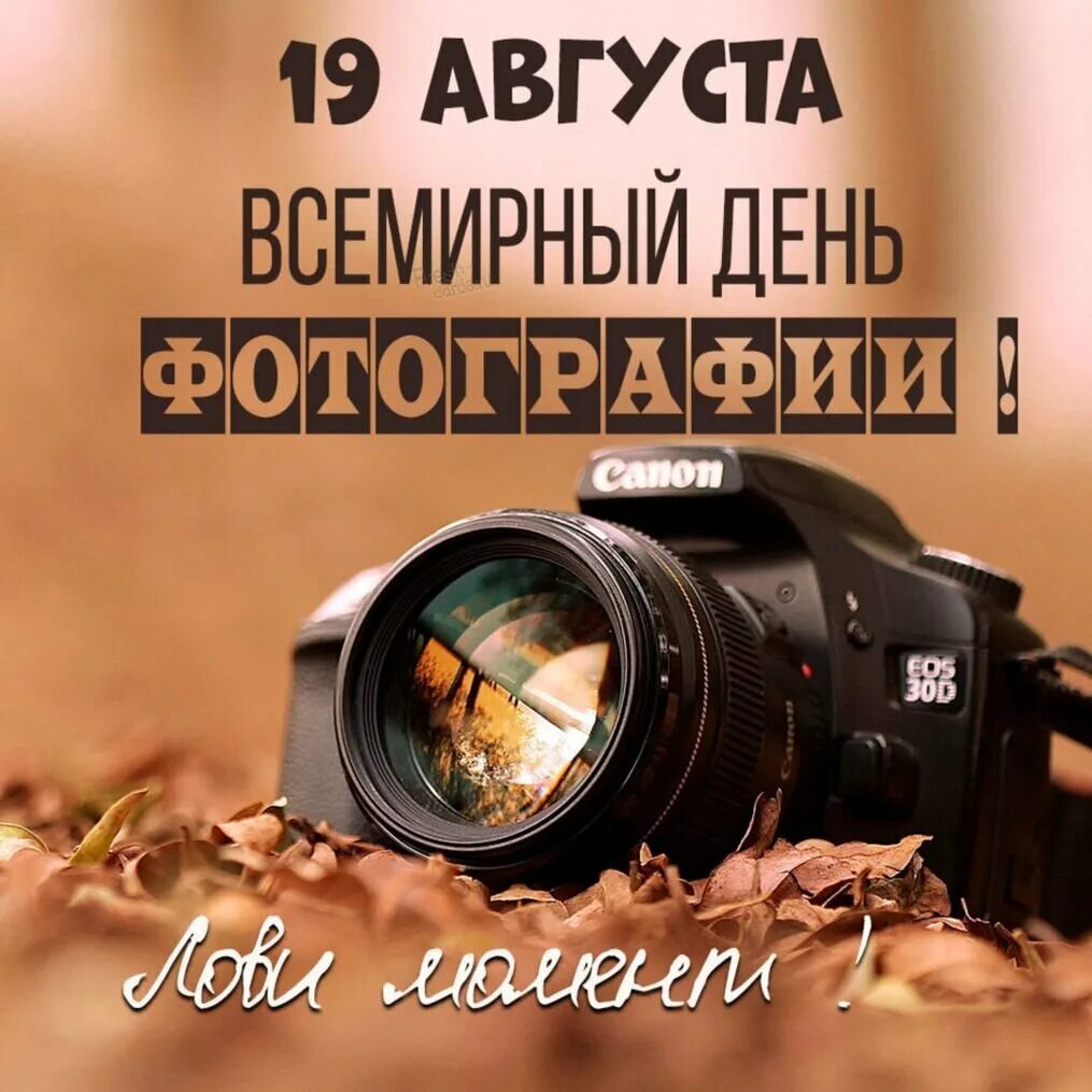 Дата 19 августа. Всемирный день фотографии. Всемирный день фотографии 19 августа. Открытка для фотографа. День фотографа.
