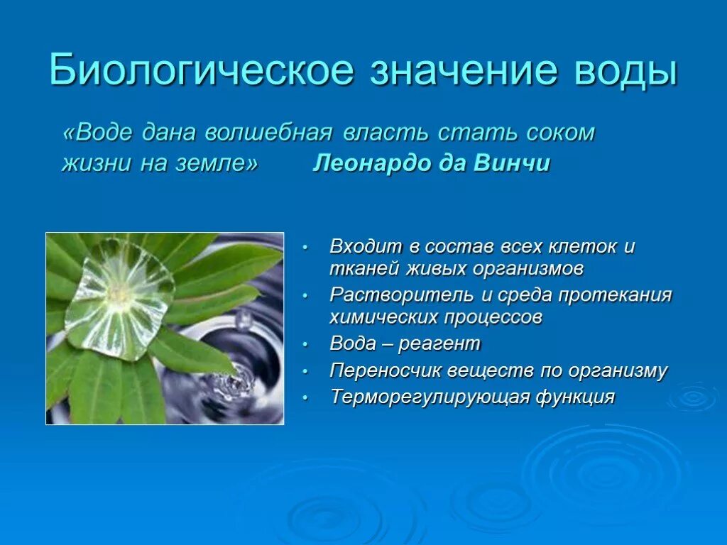 Значит ее значение в. Биологическое значение воды. роль воды в биологических процессах. биологическая роль воды в организме. биологическое значение воды в организме.