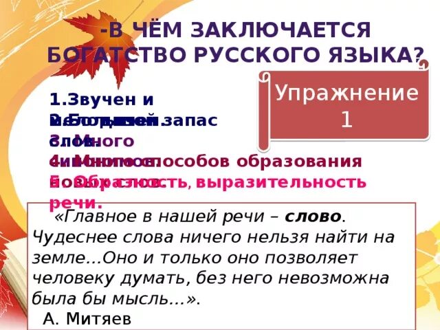 В чем состоит богатство. В чем заключается богатство русского языка. В чем заключается богатство языка. Богатство русского языка заключается в том что своими словами. В чем заключается богатство русского языка кратко 6 класс.