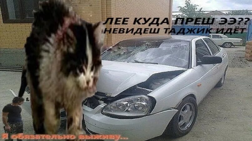 Отказываются ехать с таджиками. Куда прешь не видишь. Куда прешь не видишь котенок идет. Лее куда прешь не видишь. Куда прешь не видишь таджик идет.