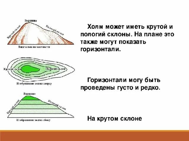 2 холма 6 часть. Абсолютная высота холма на топографической карте в атласе. Крутой и пологий склон. Изображение холма. Топографическая карта холма 5 класс.