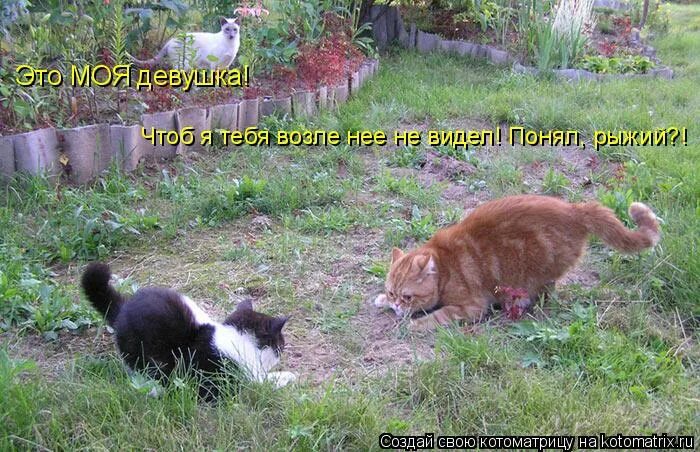 я всегда рядом. ты сидела я сидел.