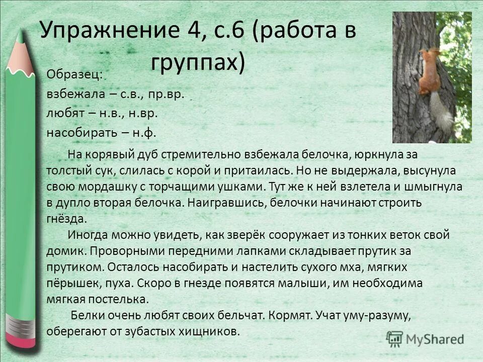 Дуб прилагательное. Глагол дуб. Дерево родственных слов 2 класс. Дуб прилагательные к нему. Стих про дуб.