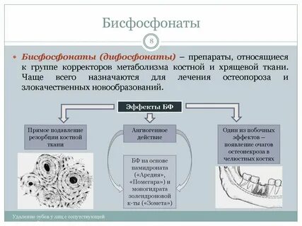 Костный метаболизм