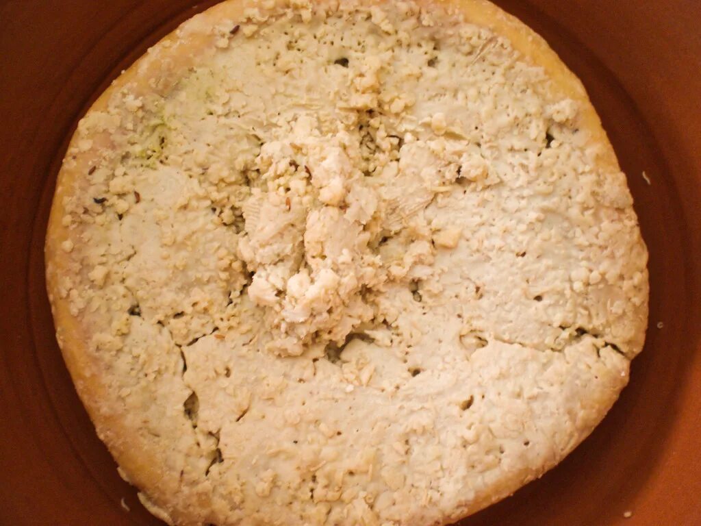 Casu marzu сыр. Червивый сыр касу марцу. Сыр касу марцу. Сыр касу марцу фото. Кацу марцу.