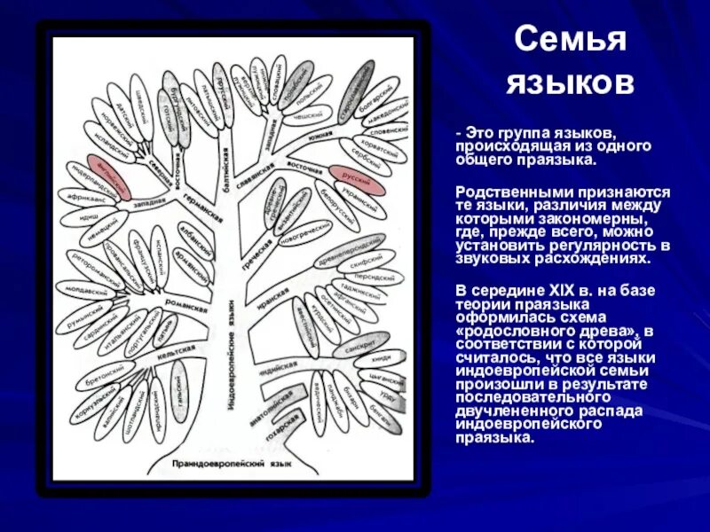 Языковые группы языков. Семьи языков. Семьи языков схема. Русский язык группа языков семья. Семьи языков из праиндоевропейского.