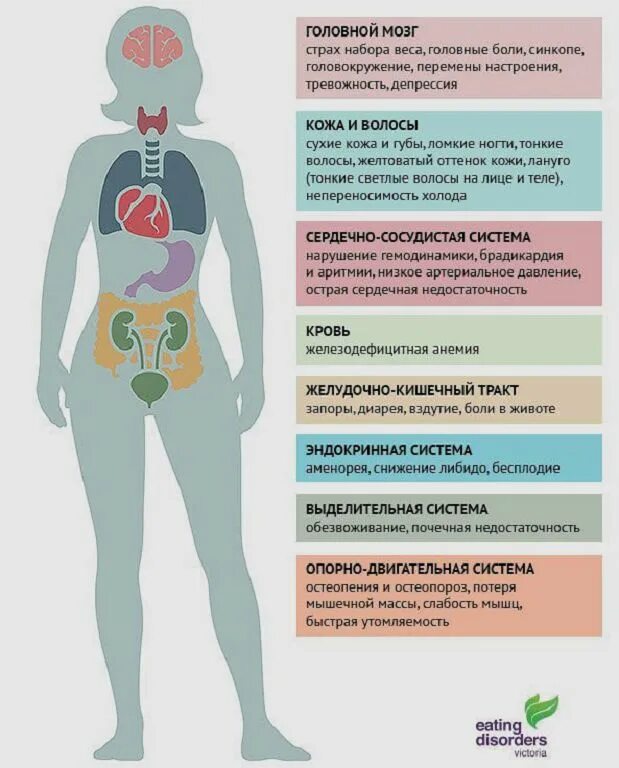 Нарушение пищевого поведения. Расстройство приема пищи. Влияние анорексии на организм. Расстройство пищевого поведения симптомы. Рпп признаки и симптомы