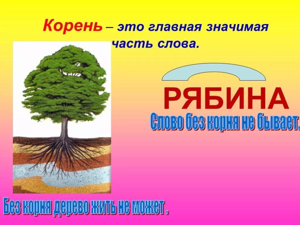 Корень слова систему