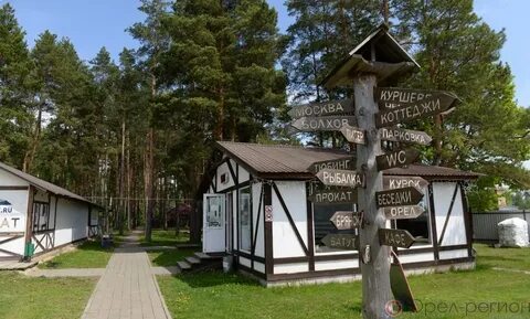 Дети 57 орел