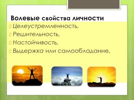 Волевые свойства личности
