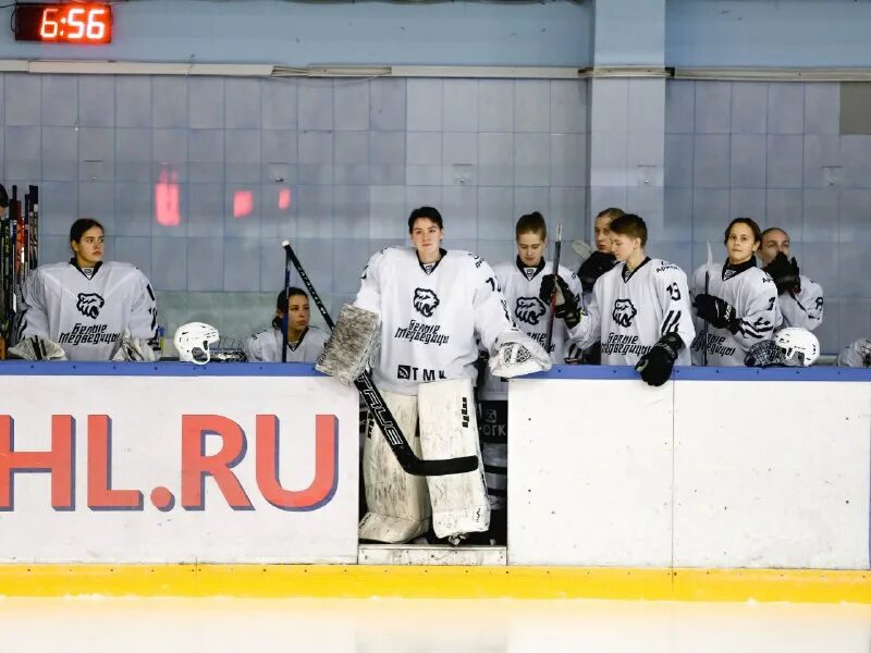 хк торнадо жхл 2019-2019. хк торнадо. жхл динамо белые медведицы. белые медведицы торнадо прогноз. хк челмет.