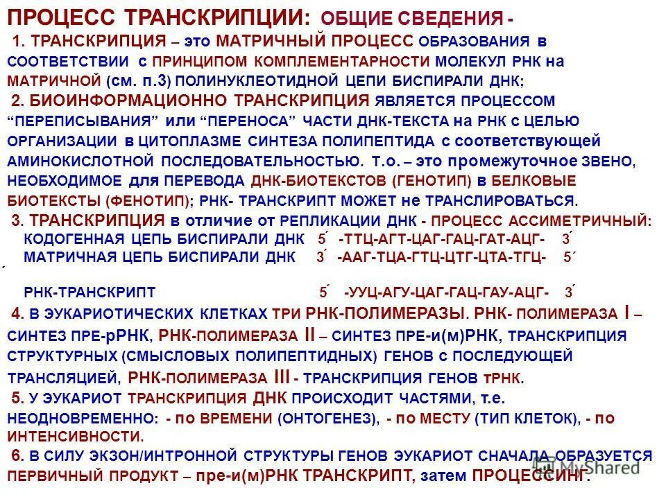 Этапы биосинтеза рнк схема. Схема процесса транскрипции. Основные нормы произношения звуков. Факторы транскрипции структура. Принципы фонетической транскрипции.