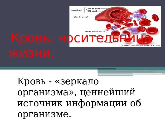 Кровь зеркало организма презентация. Кровь зеркало организма проект.