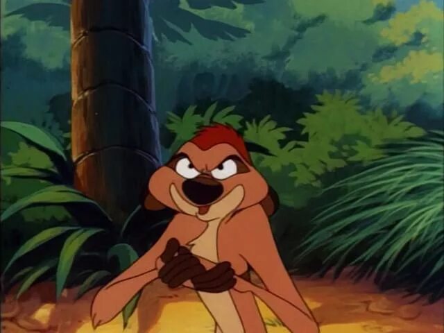 Timon rdd. Timon rdd