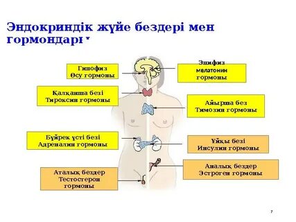 Үш қол порно видео