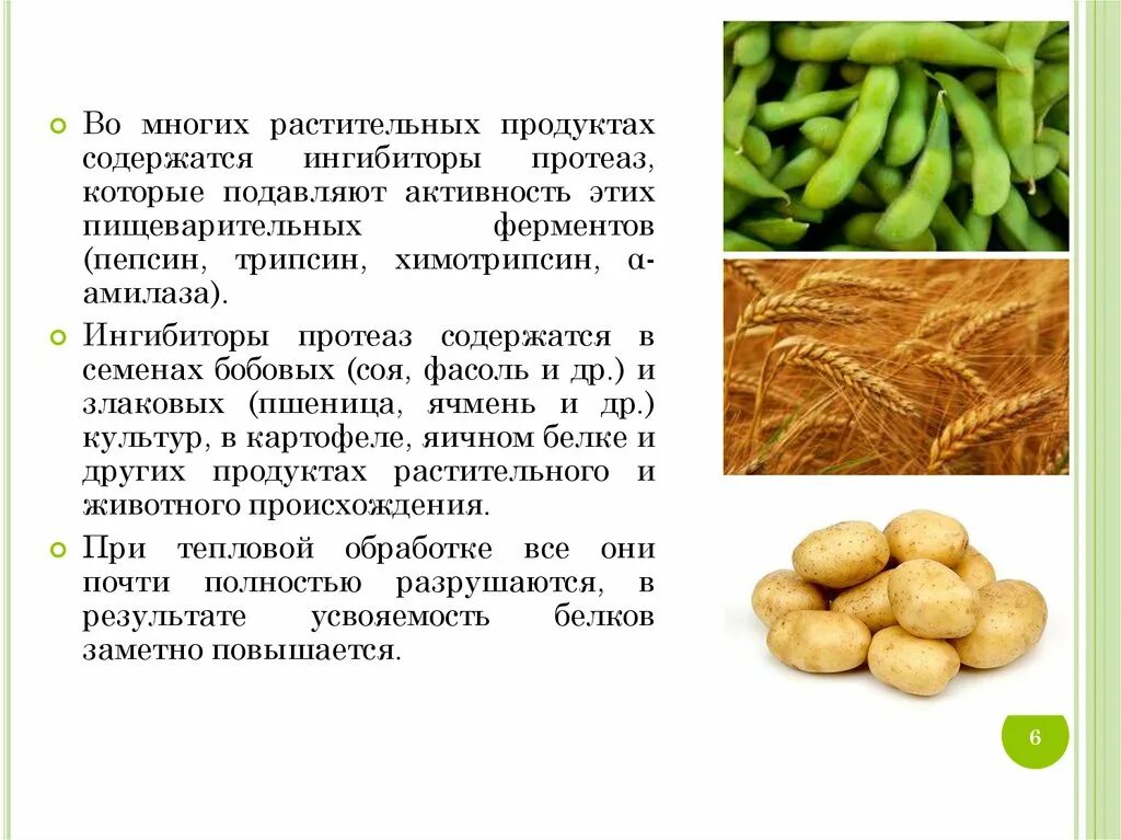 В каких продуктах содержатся ферменты. Ингибиторы протеолитических ферментов в продуктах. Ингибиторы протеаз в продуктах. Ферменты для пищеварения в продуктах.