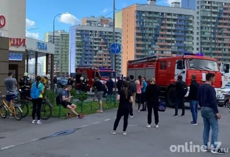 Новости мурино