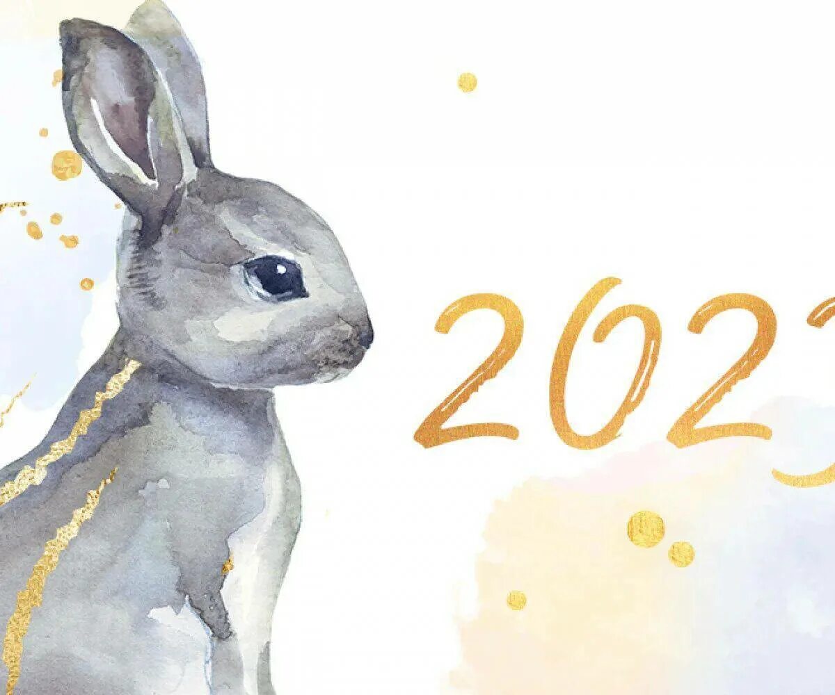 Картинка 2023. Год кролика 2023. 2023 Год рисунок. Год кролика 2023 рисунки. Кролик встречает.