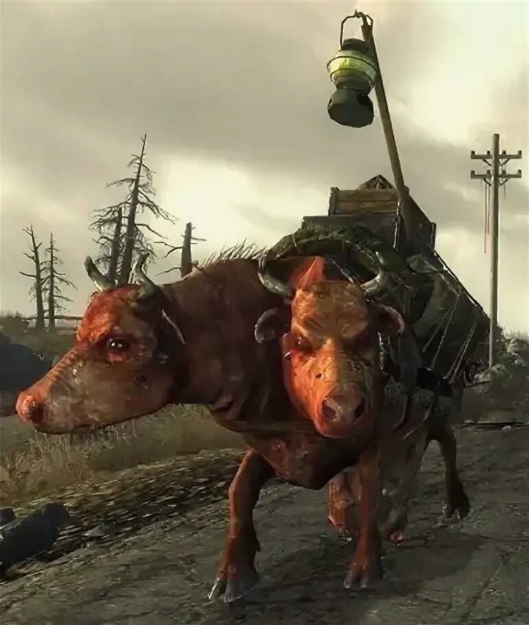 Fallout 4 зачем брамин. Fallout 4 зачем брамин