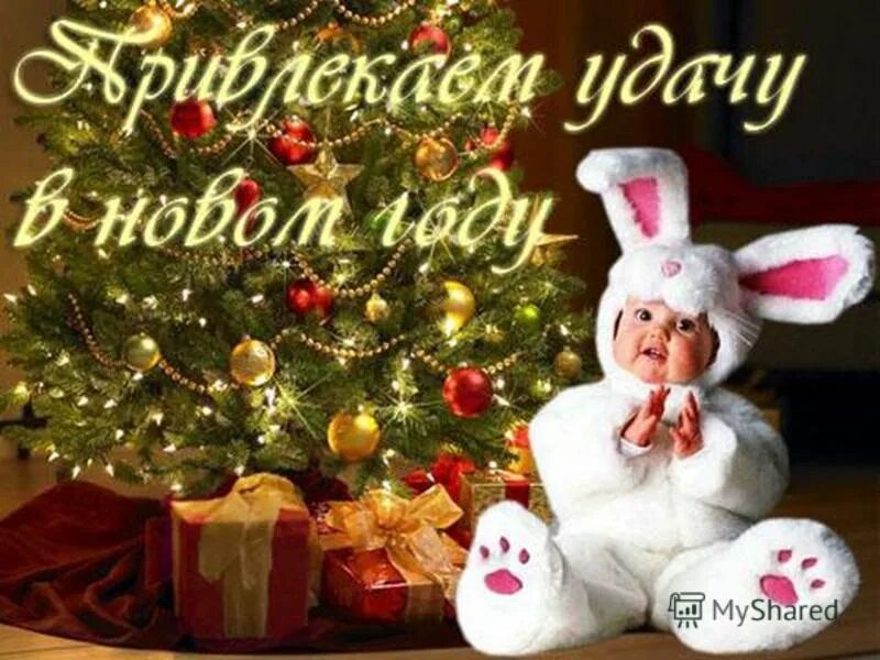 мамина гадость grudina info newyear