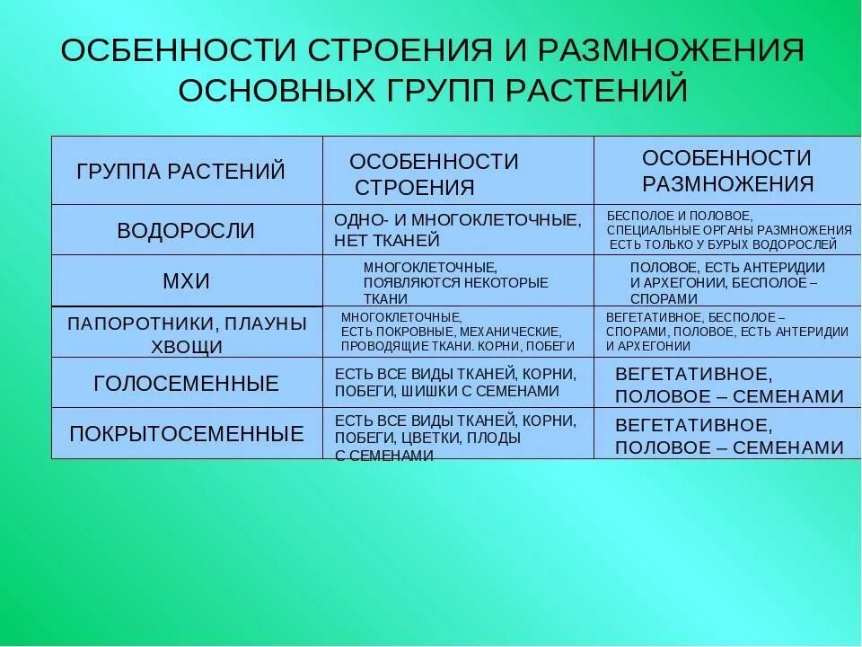 Голосеменные растения особенности строения таблица. Особенности строения органов размножения цветковых растений. Строение и особенности размножения водорослей и папоротников. Сравнение водорослей мхов и папоротников таблица. В чем проявляются усложнения организации