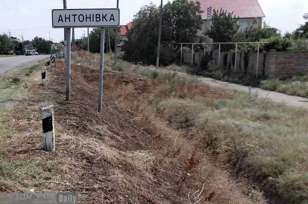 Антоновка донецк. Антоновка донецкая обл. Яблоня антоновка обыкновенная. Сорт антоновка. Антоновка донецк.