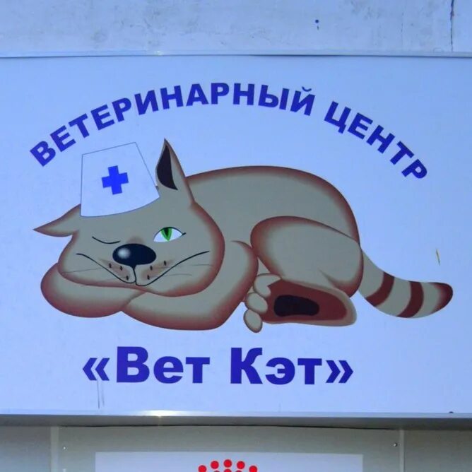 Вет кэт. Ветклиника вет Кэт. Ветеринарная клиника Cat Москва. Ветклиника вет Кэт СПБ.