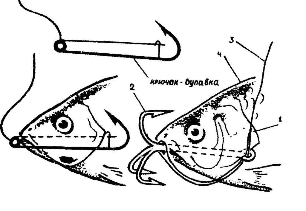Ловля на живца на поплавочную удочку. Снасточка Купер судаковая 16гр.. Схемы насаживания живца. Снасточка для ловли на живца. Как сделать удочку для ловли на живца.