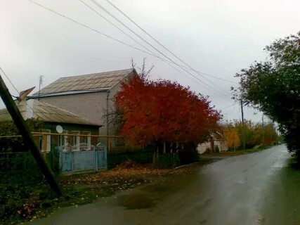 Сайты цимлянска