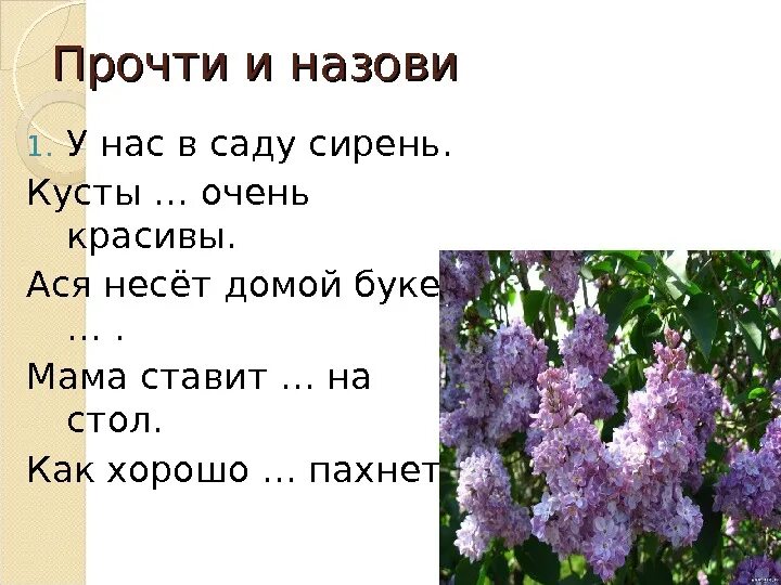 Сирень составить слова