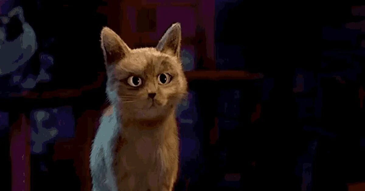 Кот шрек. Кот из кота в сапогах оууу. Кот в сапогах из шрека мультфильм. Кот из шрека оууу. Кот из кота в сапогах оууу.