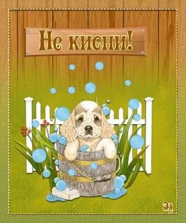 Не унывай