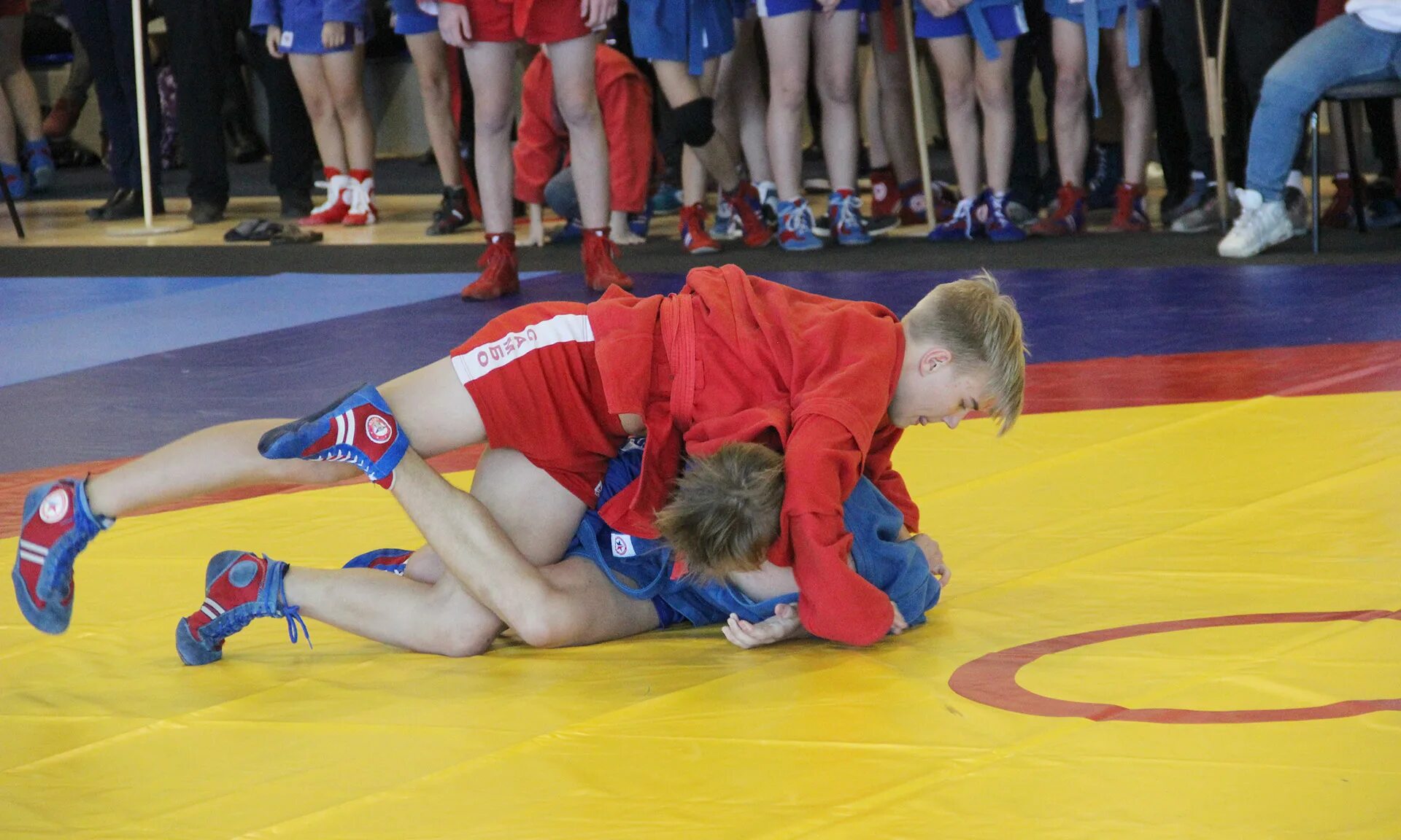 брянск самбо результаты. первенство по самбо 2023 брянск цфо. самбо брянск. самбо брянск торпедо. брянск самбо результаты.