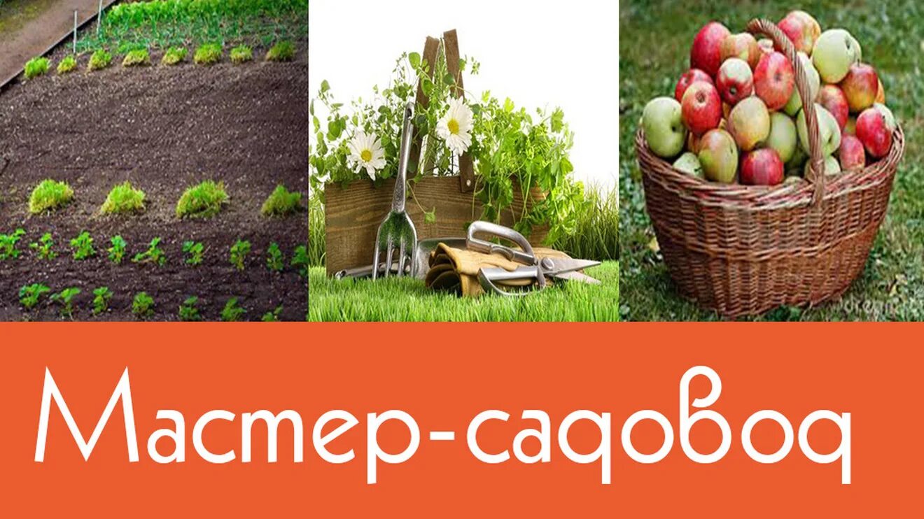 История заставок канала усадьба. Программа канала усадьба на сегодня. Усадьба программа на сегодня. Телепередачи перми. На каком канале усадьба 2022.