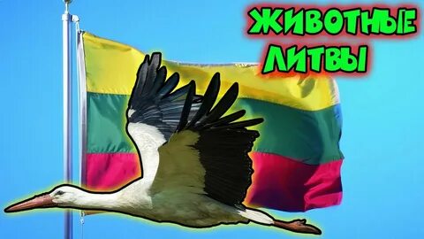 Мир литва