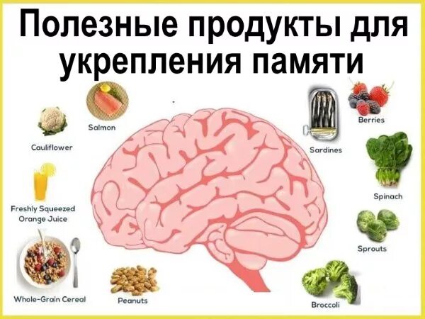 Народное средство для мозгов. Способы улучшения памяти. Мозг улучшение памяти. Полезные занятия для мозга. Улучшение памяти и работы мозга упражнения.