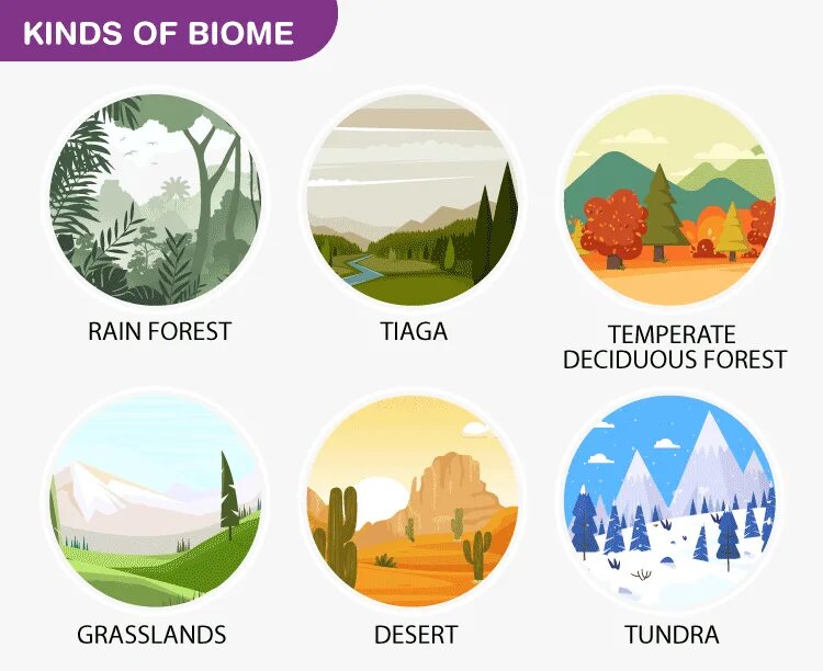 More world types. Иконка биом. Types of Biomes. Биомы England.