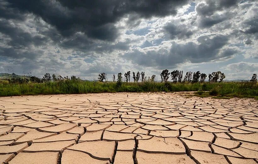 Явление засуха. Опустынивание земель в россии. Явление засуха. Летняя засуха. Атмосферная засуха.