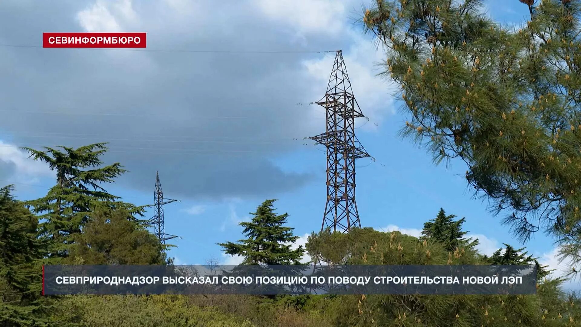 Линии электропередач. Писляк севприроднадзор. А. Гаврилова юлия севприроднадзор. Писляк григорий васильевич.