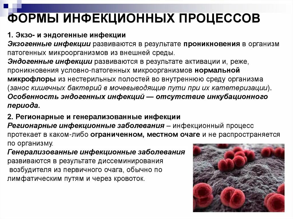 Взаимодействие микроба с организмом формы инфекционного процесса. Формы инфекционного процесса носительство болезнь. Формы инфекционных заболеваний микробиология. Формы инфекционного процесса по локализации. Болезнь развивается в результате