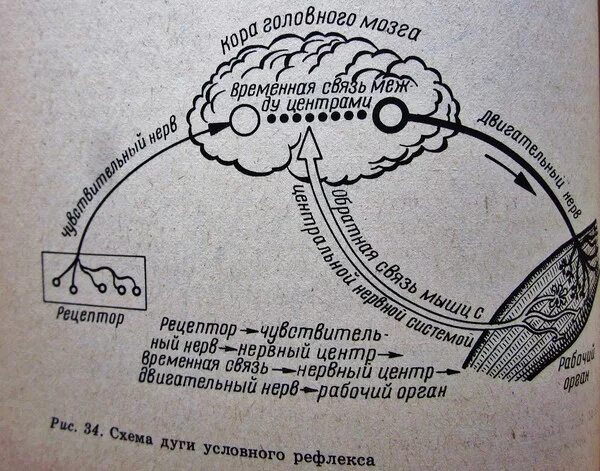 Получение мигательного рефлекса