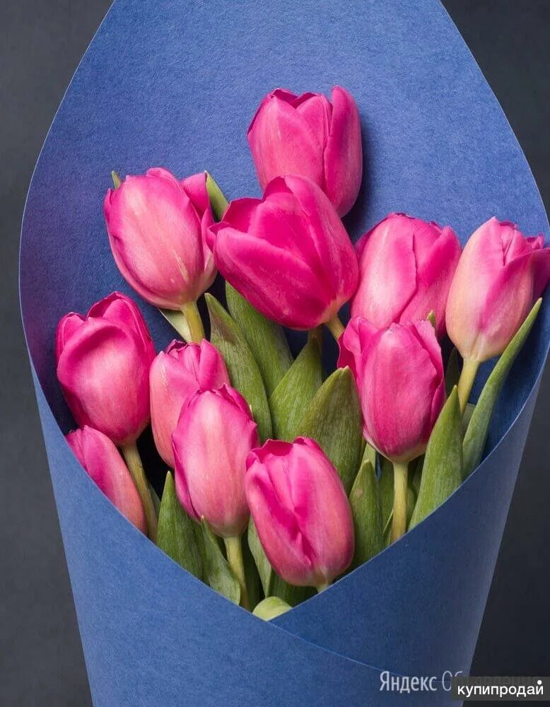 Тюльпаны купить в новосибирске недорого. Букет тюльпанов. Красивые тюльпаны. 11 Тюльпанов букет. Тюльпаны цветные.