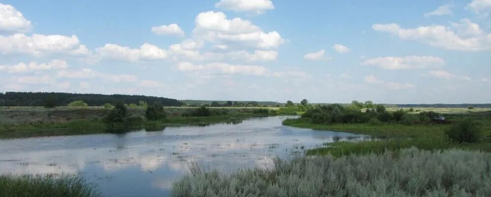 Липецк кривец. Кривец липецкая область. село доброе липецкая область река воронеж. село кривец липецкая область.