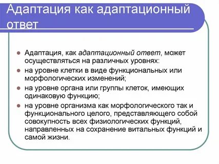 Как адаптировать газ