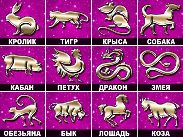 Какой год 2024 название. Знаки зодиака по годам. Названия животных по гороскопу. Года по зодиаку животных. Китайский гороскоп по годам.