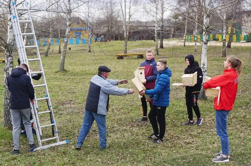 Клецкий лесхоз. Синявка Клецкий район. Деревня Синявка Клецкого района. Агрогородок Синявка.