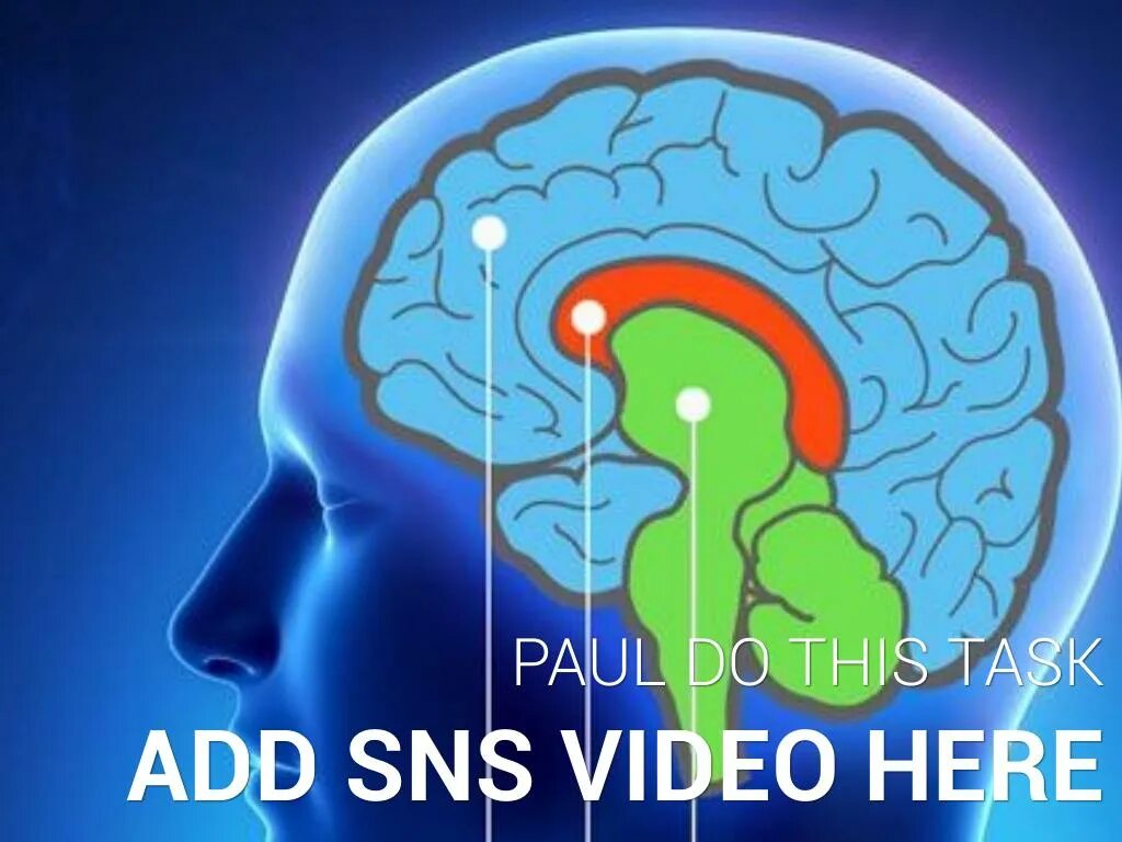 What does paul