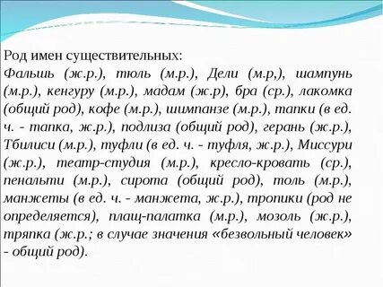 Шимпанзе род слова существительные